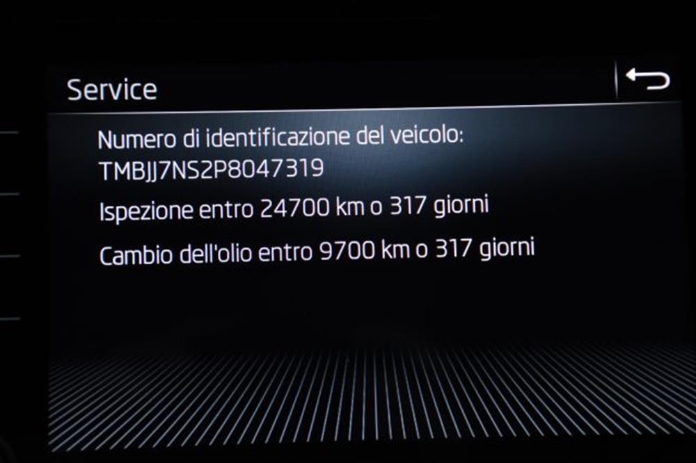 Kodiaq Kodiaq 2.0 TDI EVO SCR DSG