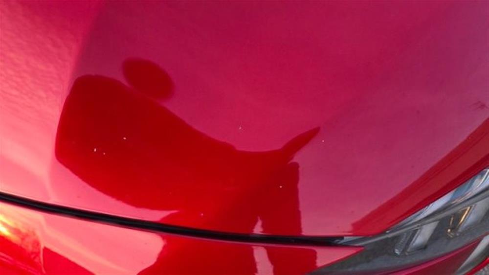 208 208 BlueHDi 100 S&S 5 po