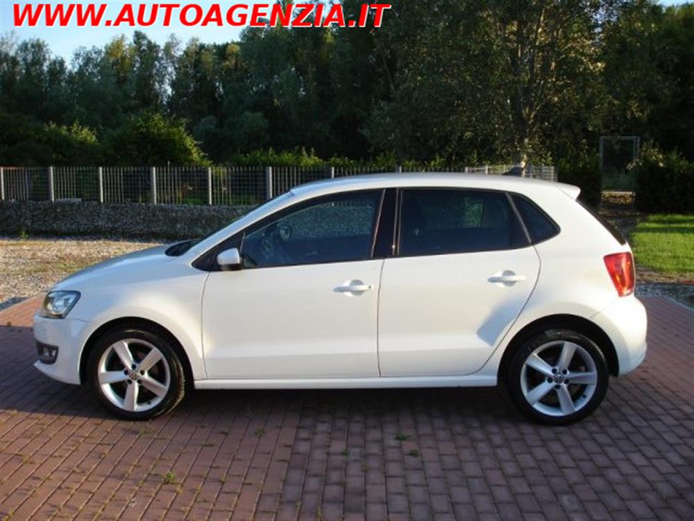 Polo Polo 1.6 TDI 90CV 5 porte