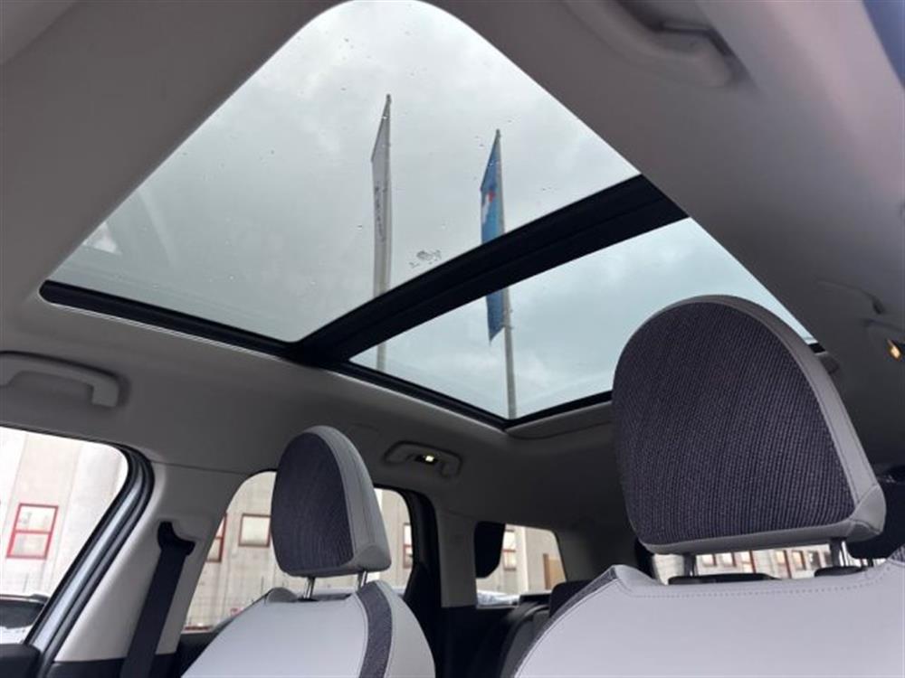 Countryman Countryman D Classic Countryman