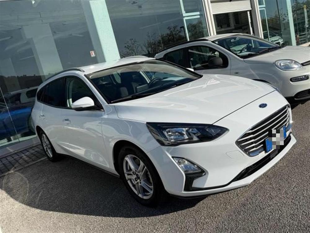 Focus Focus 1.5 EcoBlue 95 CV SW