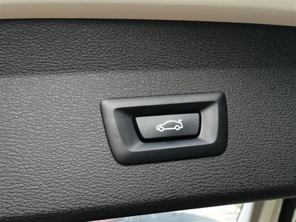 X1 X1 xDrive25e Business A