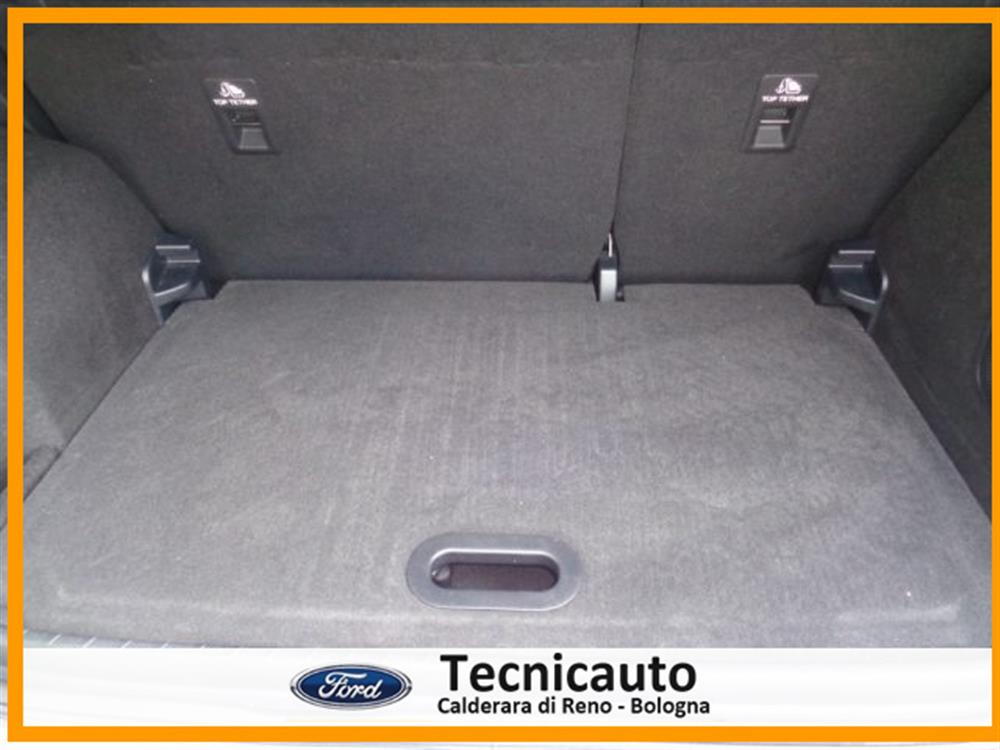 EcoSport EcoSport 1.5 Ecoblue 100 CV S