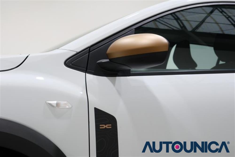 Sandero Sandero STEPWAY 1.0 TCE 90 C