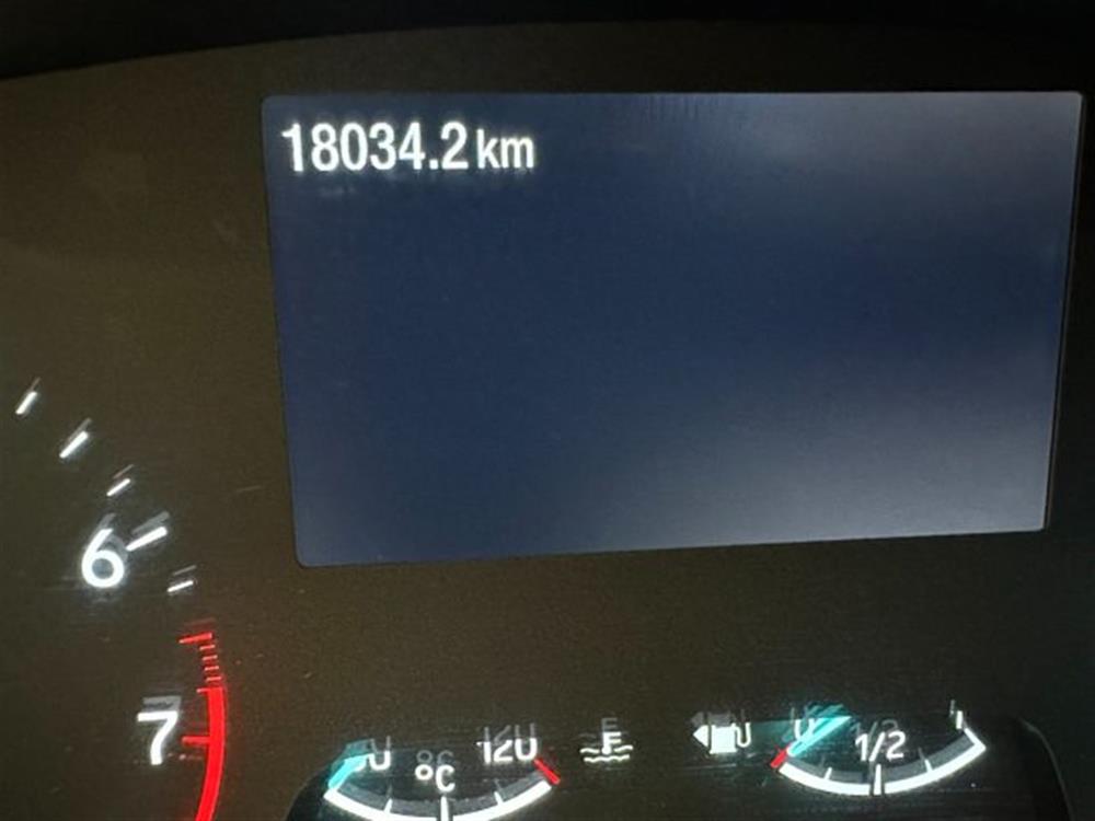 Puma Puma 1.000 HYBRID 125CV T