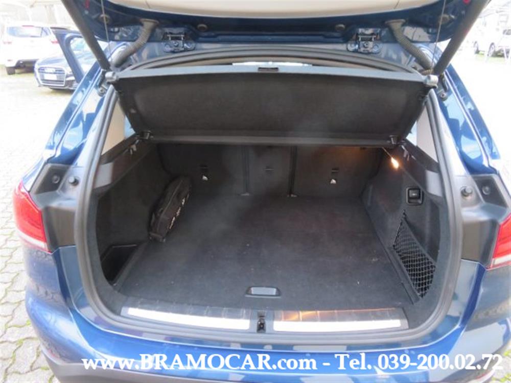 X1 X1 sDrive20d 190cv BUSI