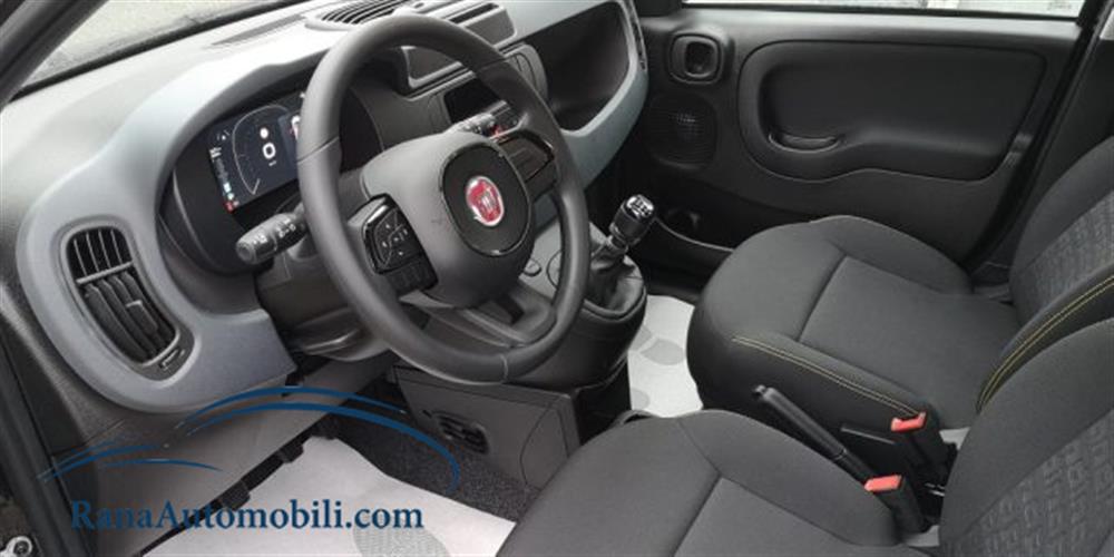 Panda Panda Hybrid Pandina KMZER