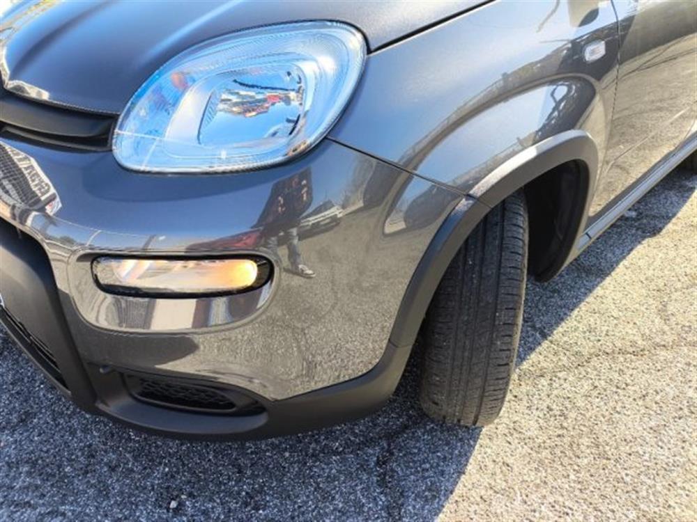 Panda Panda 1.0 FireFly Hybrid C