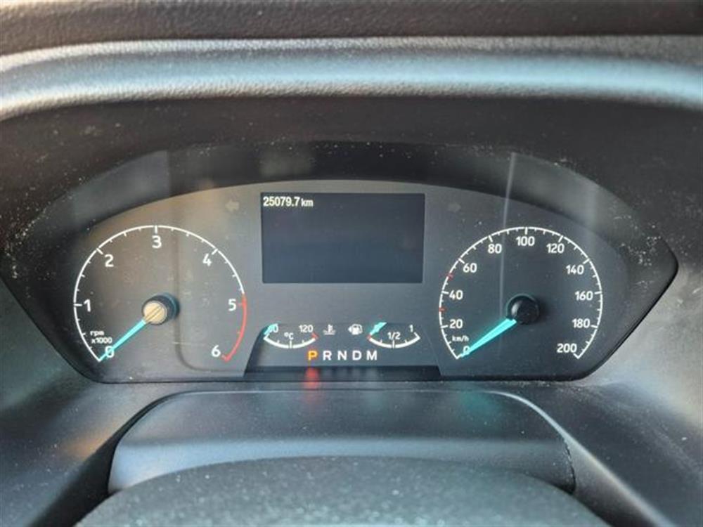 Transit Custom Transit Custom 300 2.0 EcoBlue 170