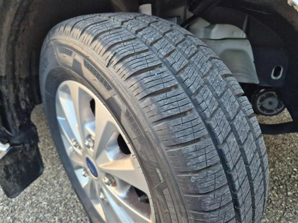 Transit Custom Transit Custom 300 2.0 EcoBlue 170