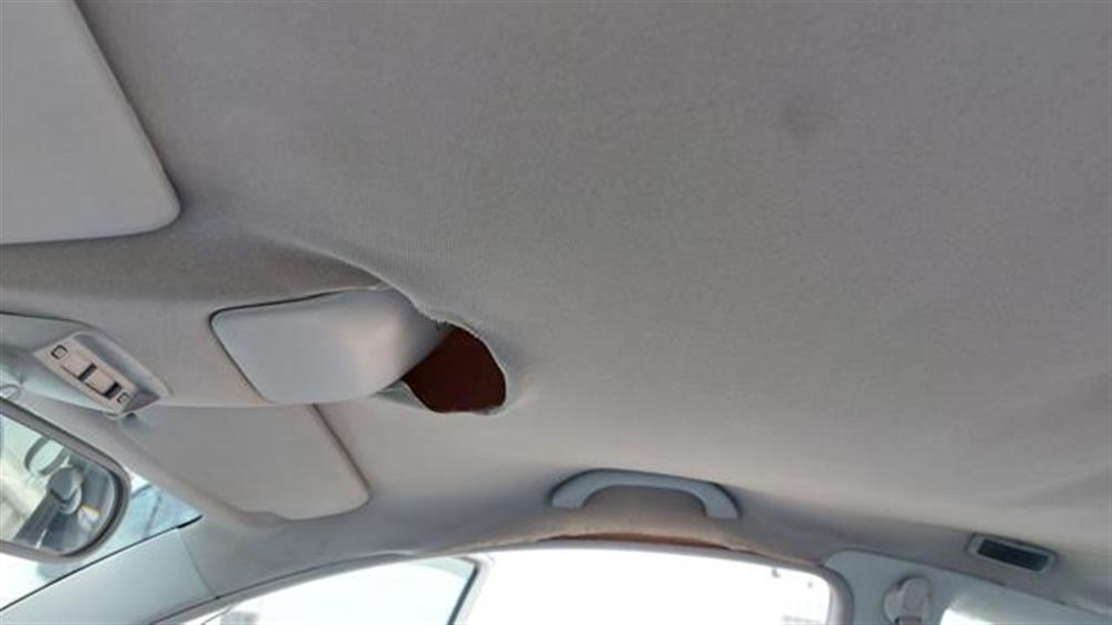 New Beetle New Beetle 1.9 TDI 90 Cv Ma