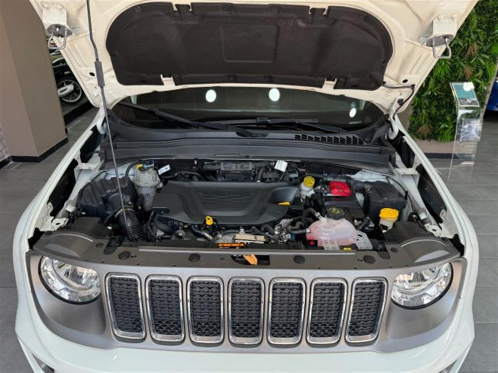 Renegade Renegade 1.6 Mjt 130 CV Limit