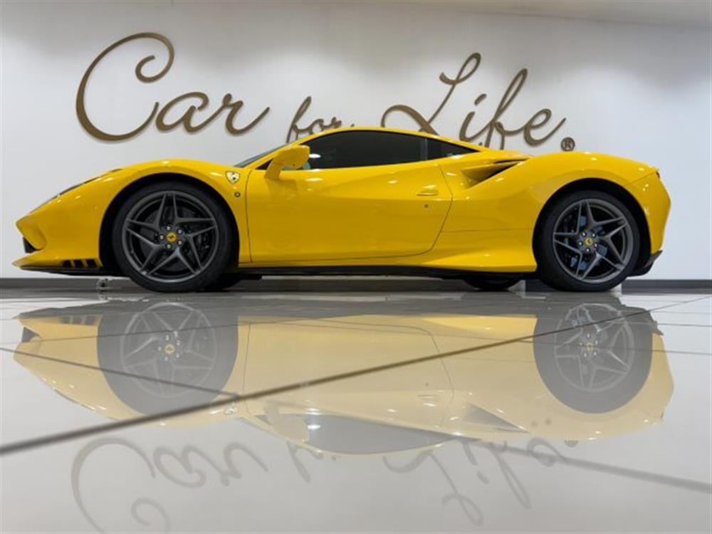 F8 F8 Tributo IVA ESPOSTA