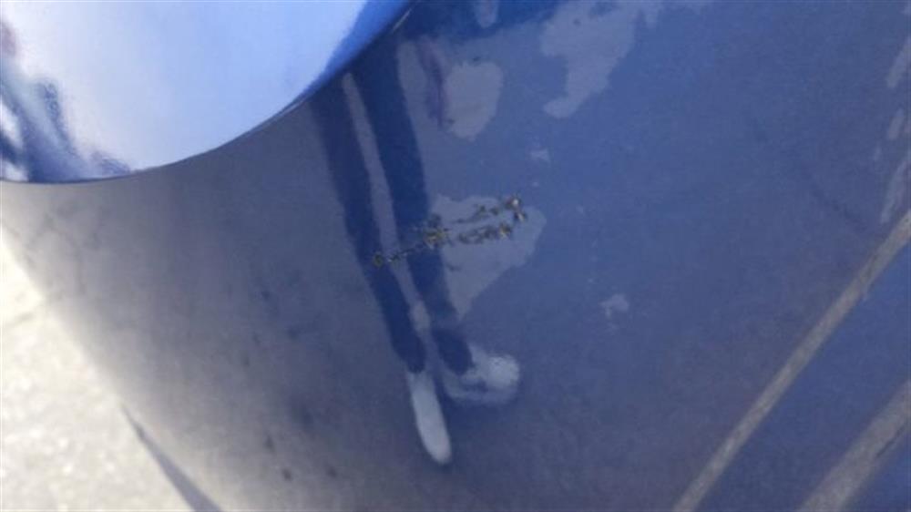 Sandero Sandero Streetway 1.0 TCe EC