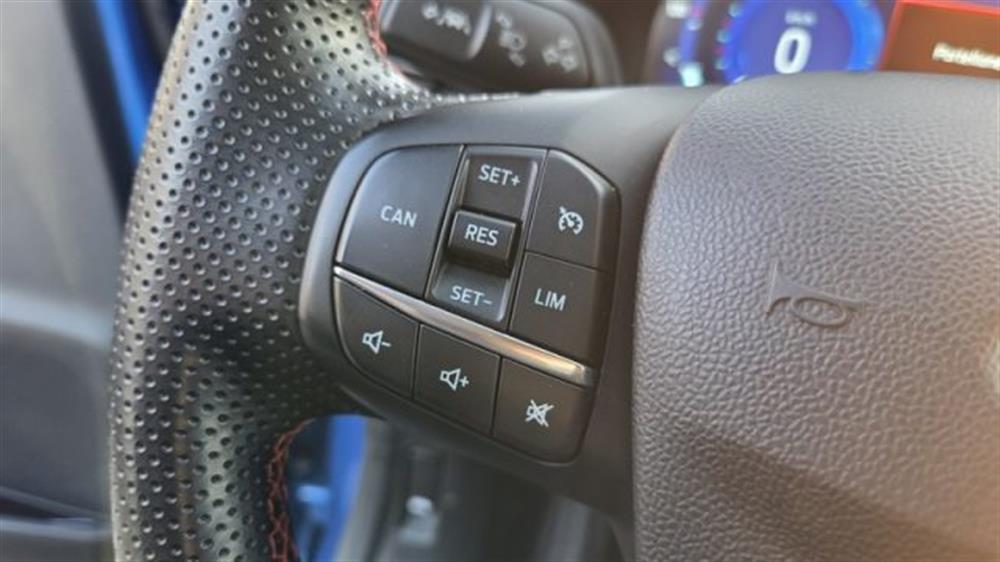 Puma Puma 1.5 EcoBlue 120 CV S