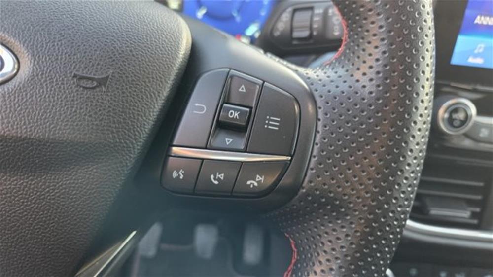 Puma Puma 1.5 EcoBlue 120 CV S