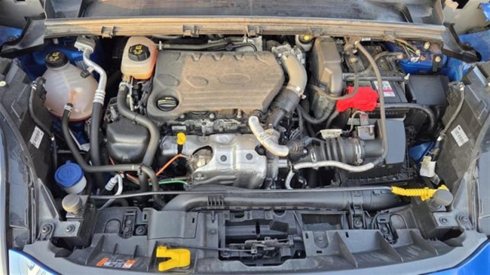 Puma Puma 1.5 EcoBlue 120 CV S