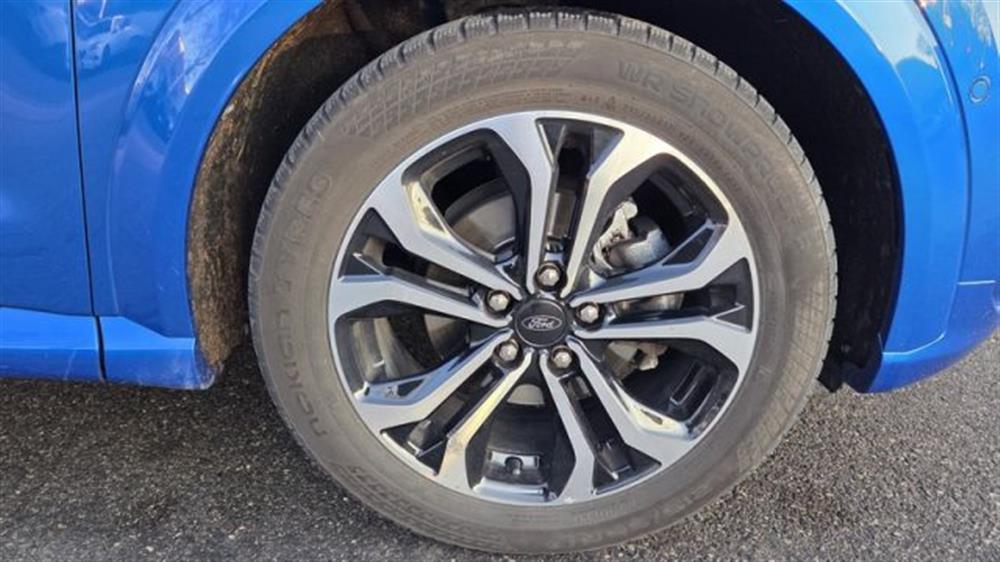 Puma Puma 1.5 EcoBlue 120 CV S