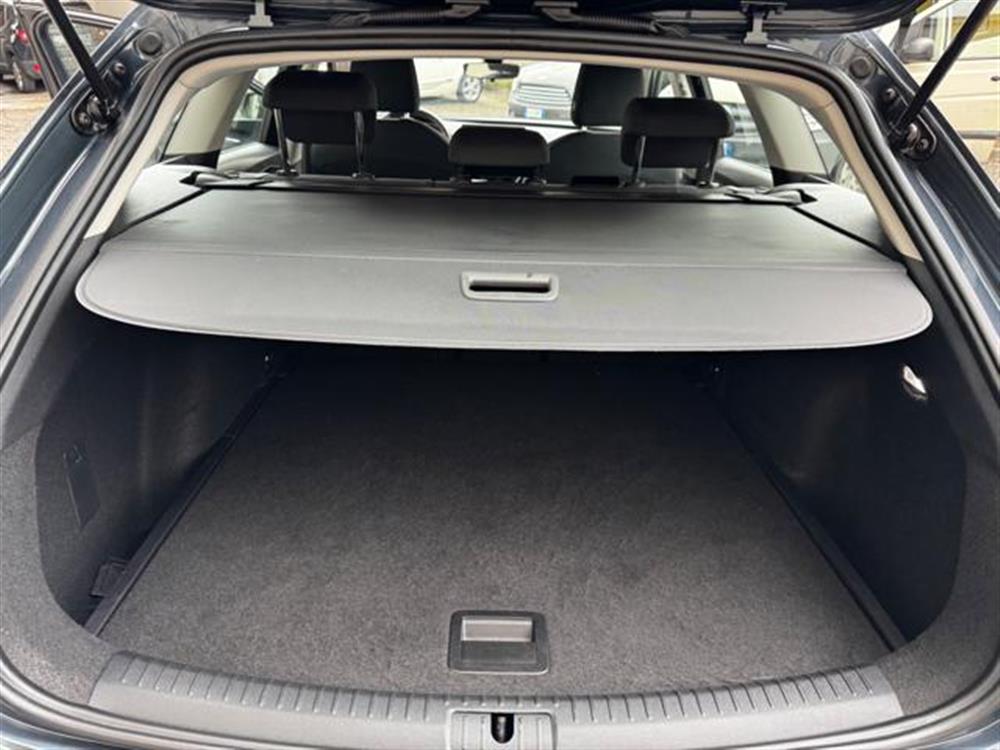 Leon Leon IN PROMOZIONE!!!!! S