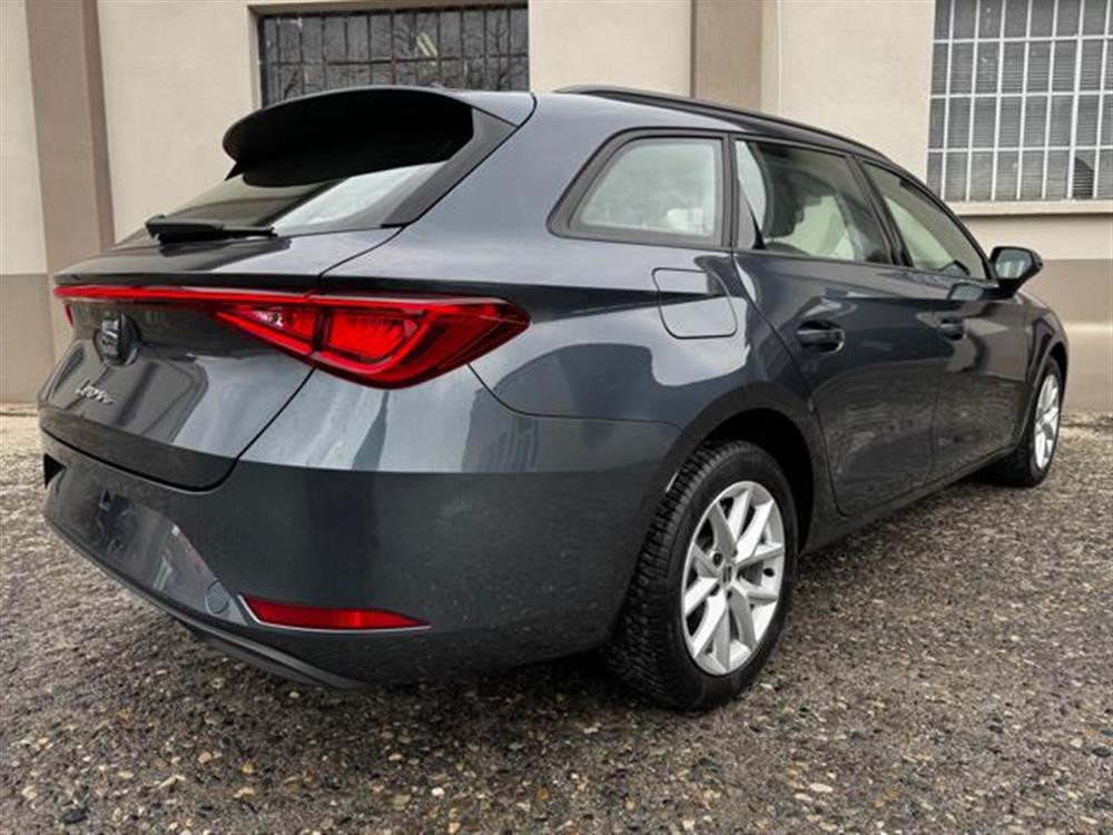 Leon Leon IN PROMOZIONE!!!!! S