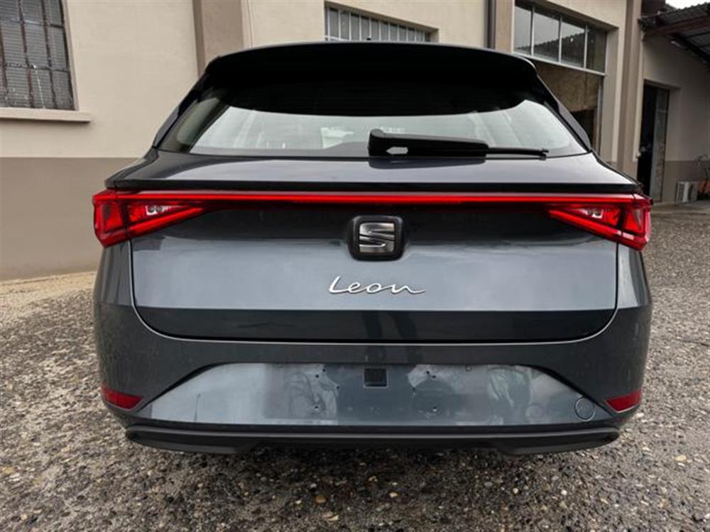 Leon Leon IN PROMOZIONE!!!!! S