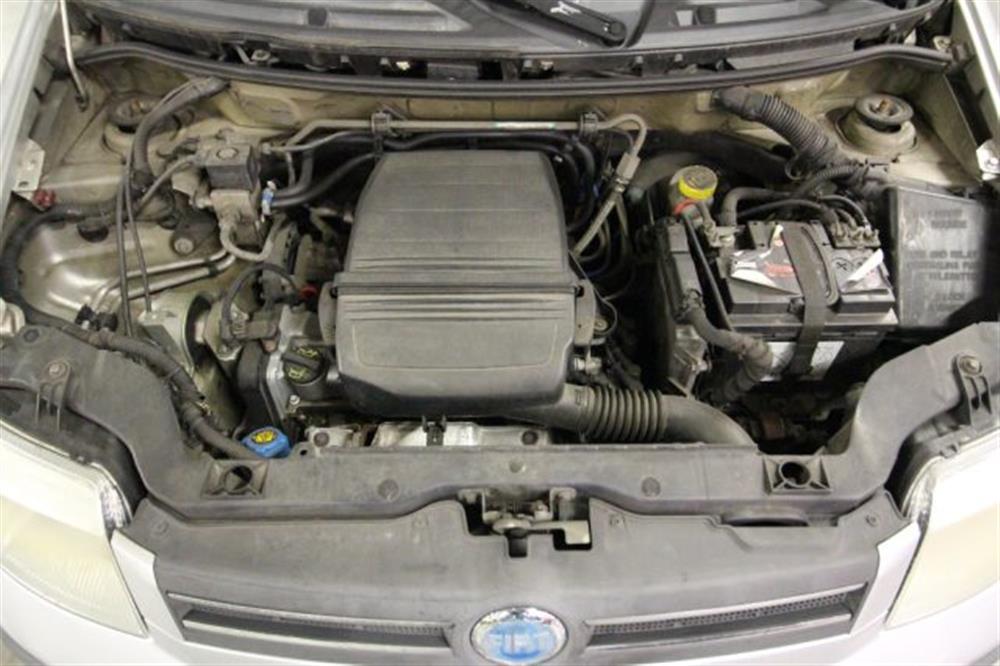 Panda Panda 1.2 Natural Power