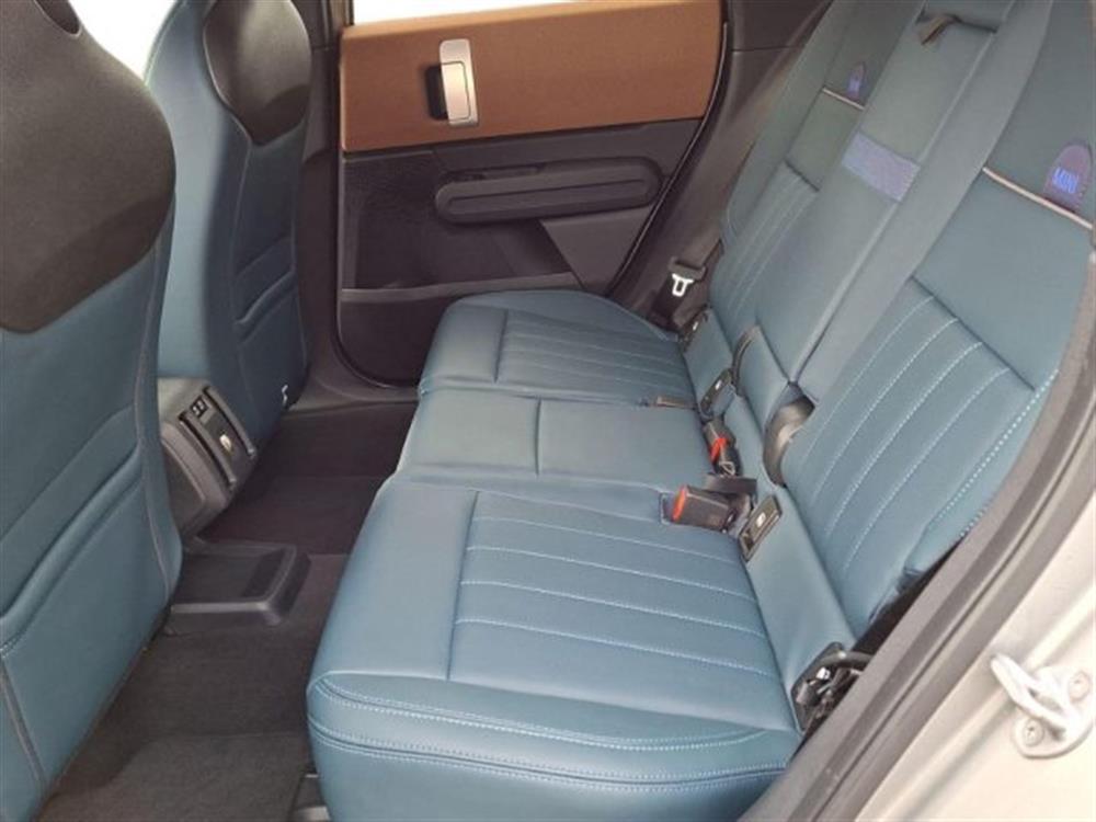 Mini Mini D Favoured Countryma