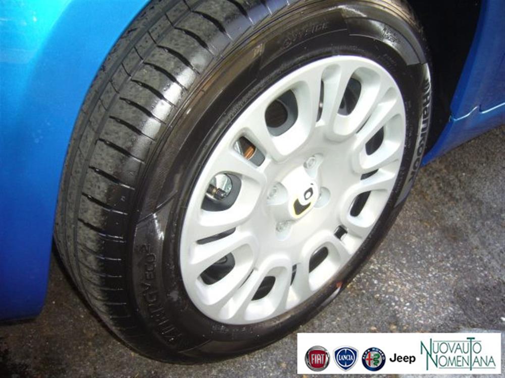 Panda Panda 1.0 FireFly S&S Icon