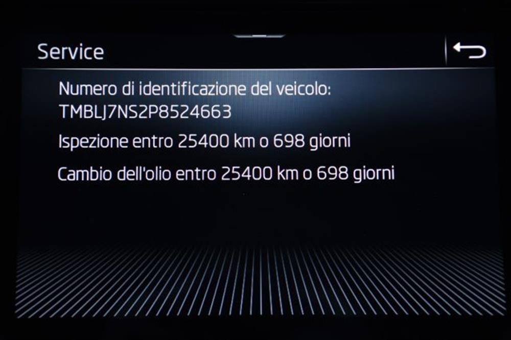 Kodiaq Kodiaq 2.0 TDI EVO SCR 4x4