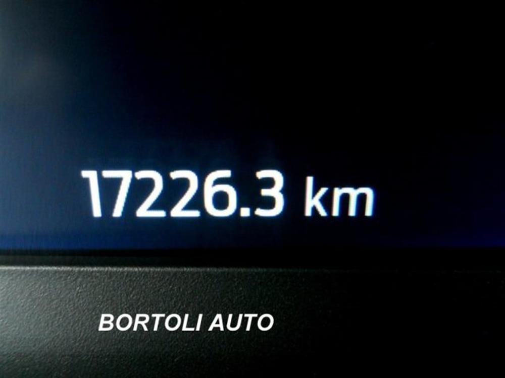 Puma Puma 1.0 17.000 KM EcoBoo