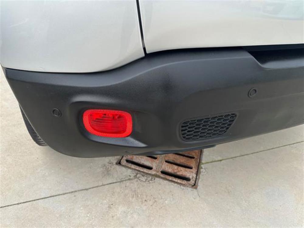 Renegade Renegade 1.6 Mjt 120 CV Longi