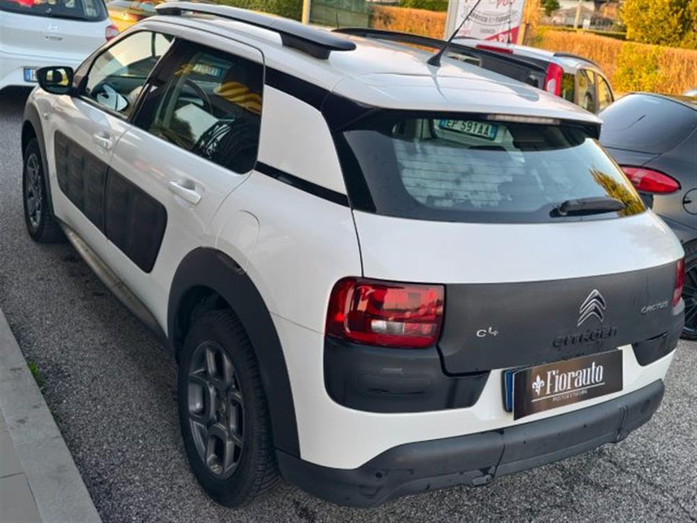 C4 Cactus C4 Cactus BlueHDi 100 Shine