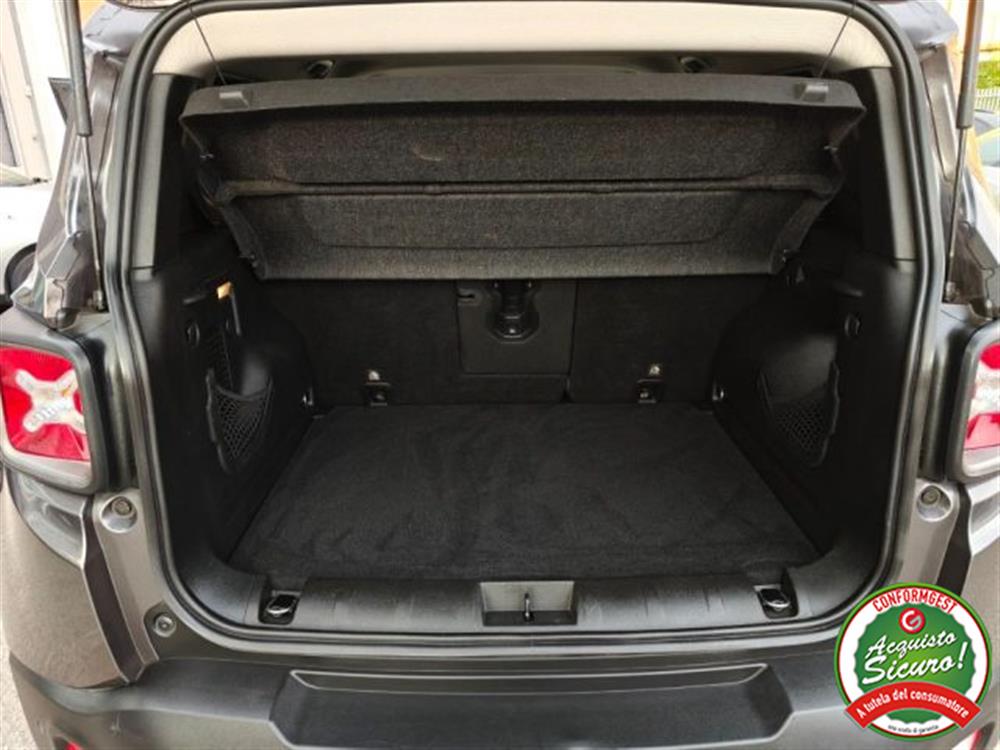 Renegade Renegade 1.0 T3 Limited