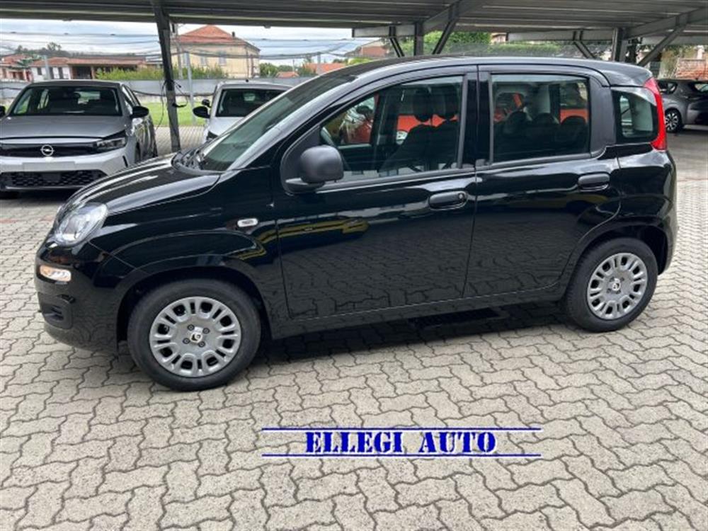 Panda Panda 1.0 HYBRID 5 POSTI +
