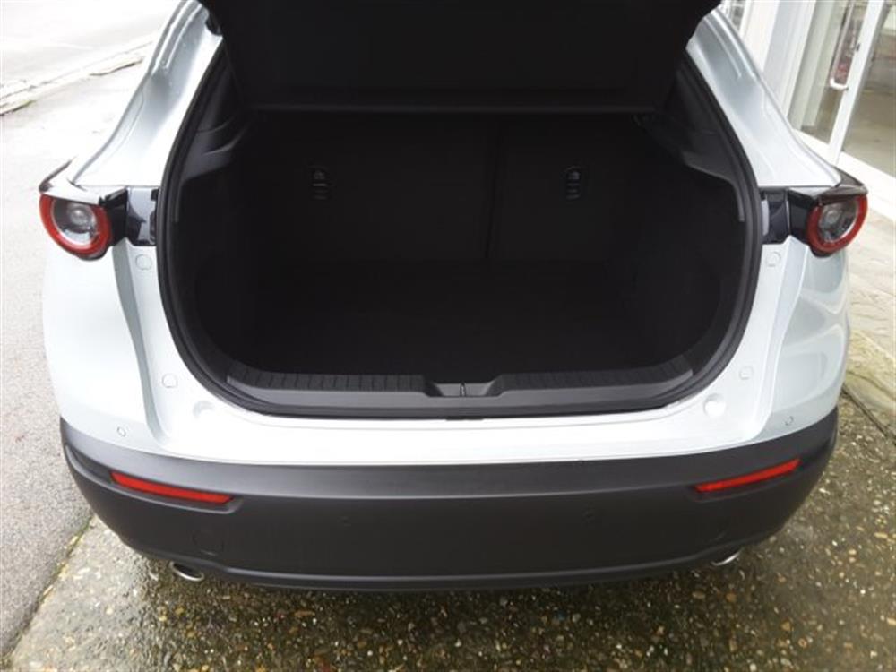 CX-30 CX-30 2.5 e-Skyactiv-G 140