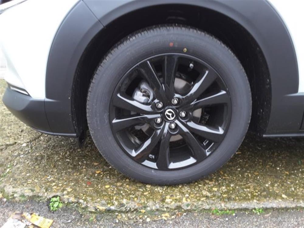 CX-30 CX-30 2.5 e-Skyactiv-G 140