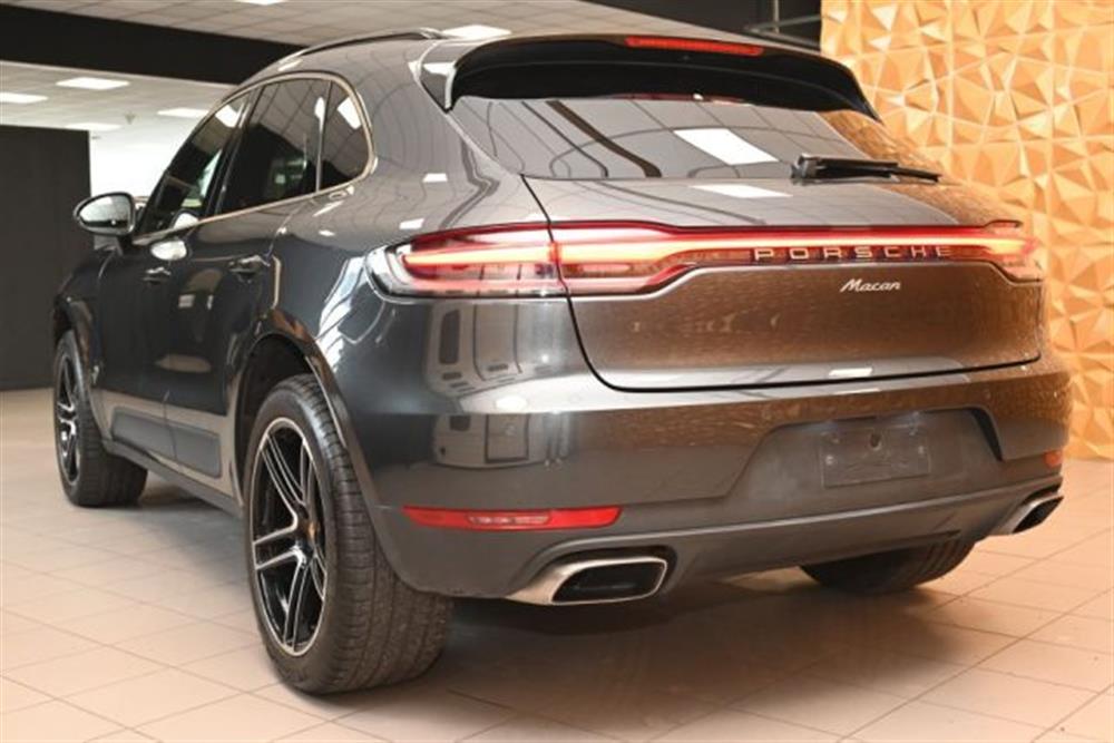 Macan Macan 2.0 PDK PASM+1BK DOP