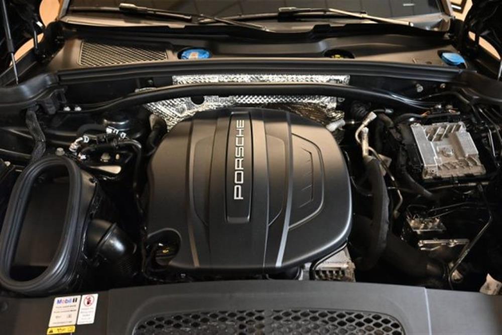 Macan Macan 2.0 PDK PASM+1BK DOP