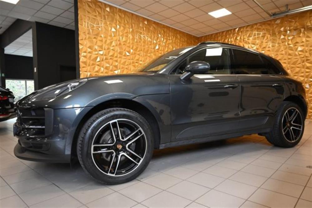 Macan Macan 2.0 PDK PASM+1BK DOP