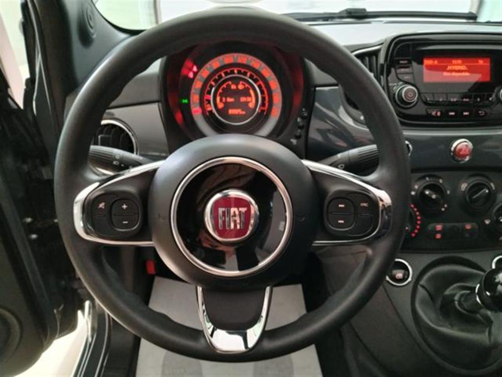 500 500 C 1.0 Hybrid Cult