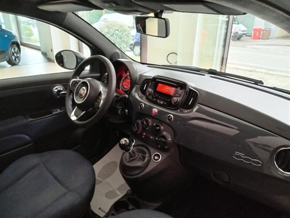 500 500 C 1.0 Hybrid Cult