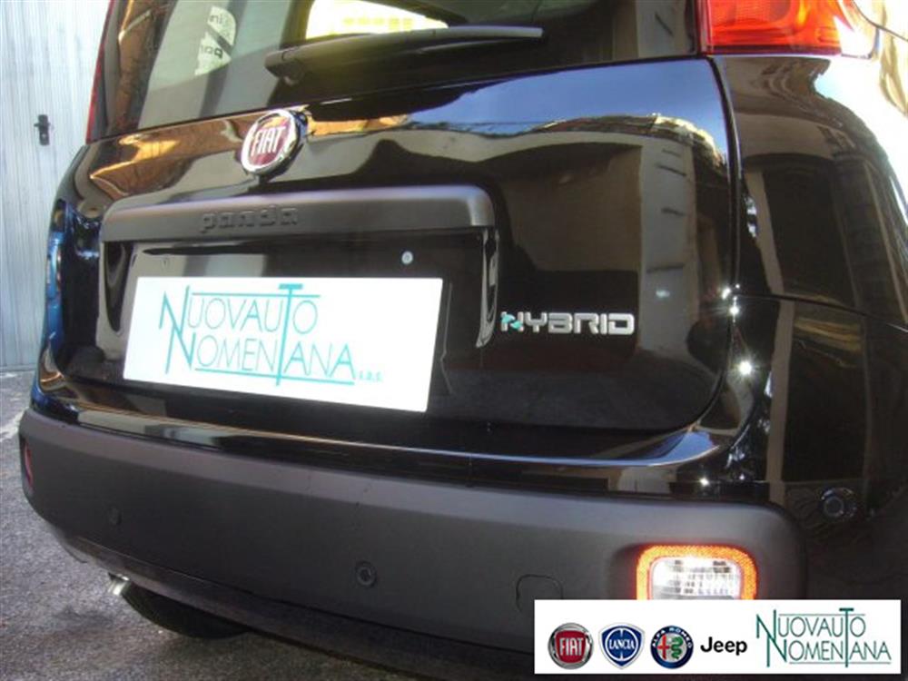 Panda Panda 1.0 FireFly GPL / Hy