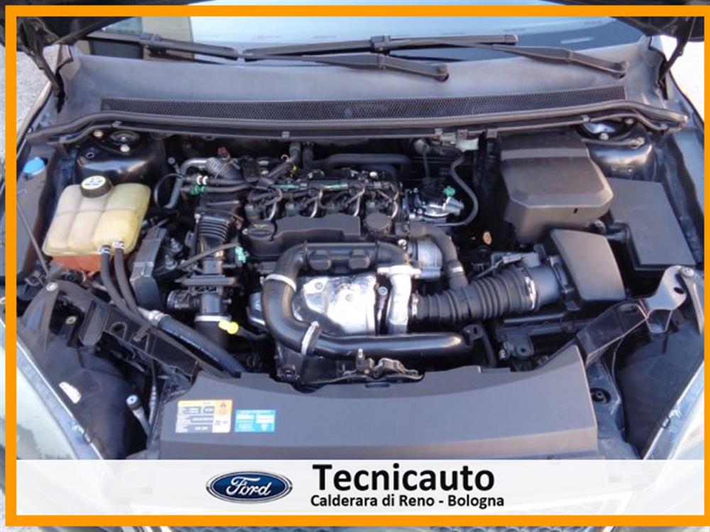 Focus Focus 1.6 TDCi (90CV) 5p.