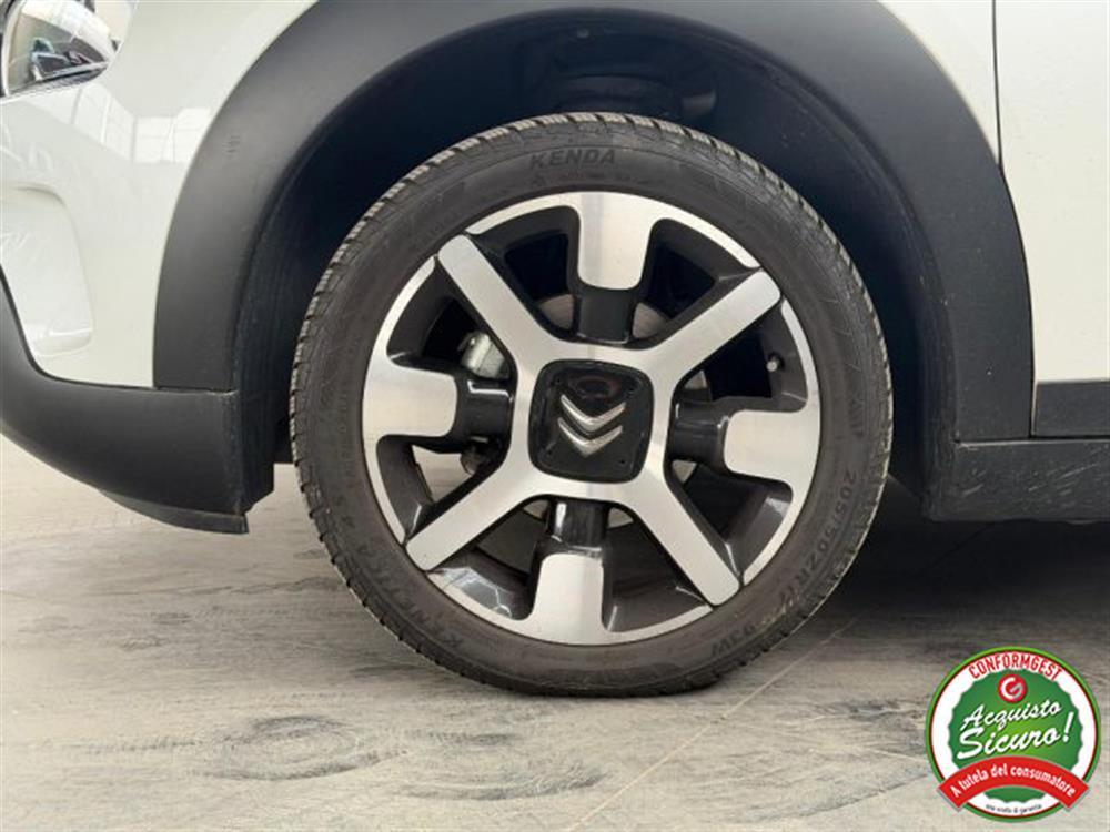 C4 Cactus C4 Cactus 110 CV S&S SHINE UNI