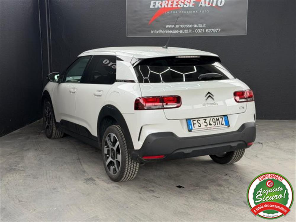 C4 Cactus C4 Cactus 110 CV S&S SHINE UNI