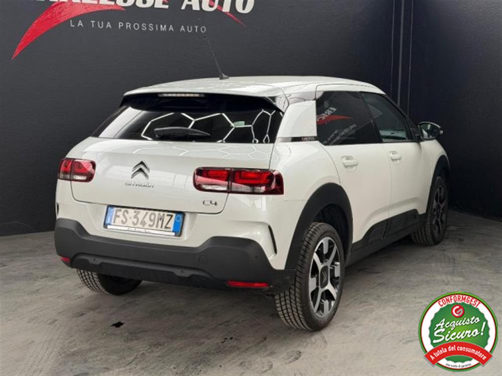 C4 Cactus C4 Cactus 110 CV S&S SHINE UNI