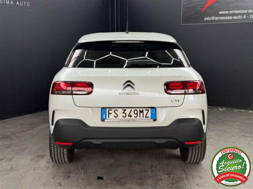 C4 Cactus C4 Cactus 110 CV S&S SHINE UNI