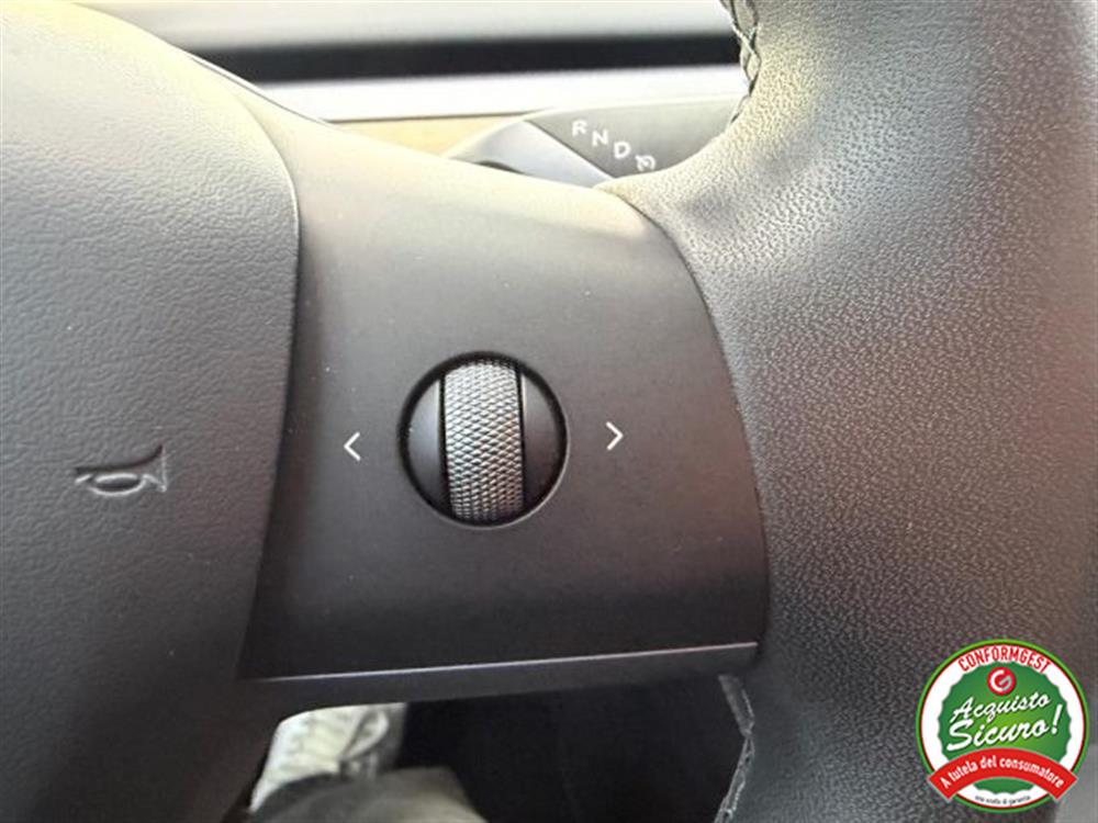 Model Y Model Y Long Range Dual Moto