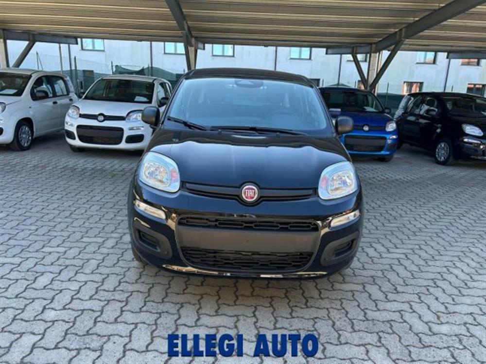 Panda Panda 1.0 HYBRID +PACK ICO