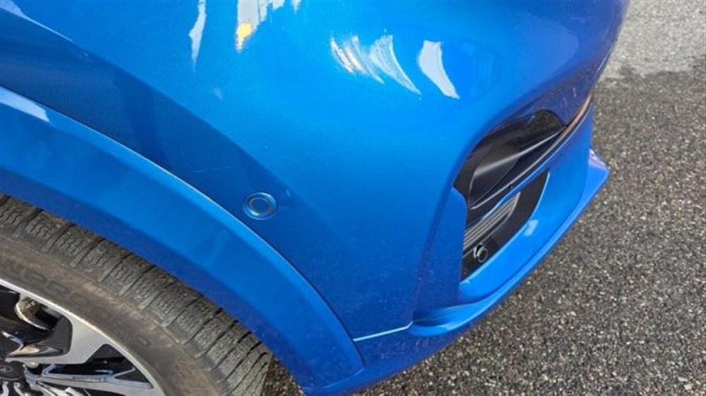 Puma Puma 1.5 EcoBlue 120 CV S